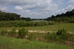 jx properties development site in palm coast, fl by GoToby.com