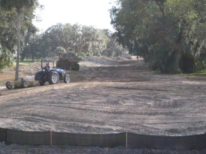 Florida Palm Coast Palm Harbor Golf Course hole 15