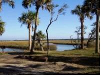 princess place preserve in palm coast, fl, flagler county parks and recreation